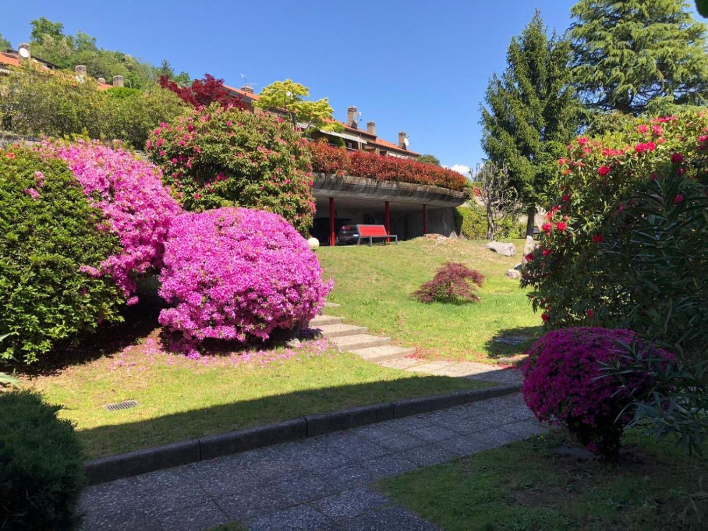 Bella Rosa Διαμέρισμα Ghiffa Εξωτερικό φωτογραφία