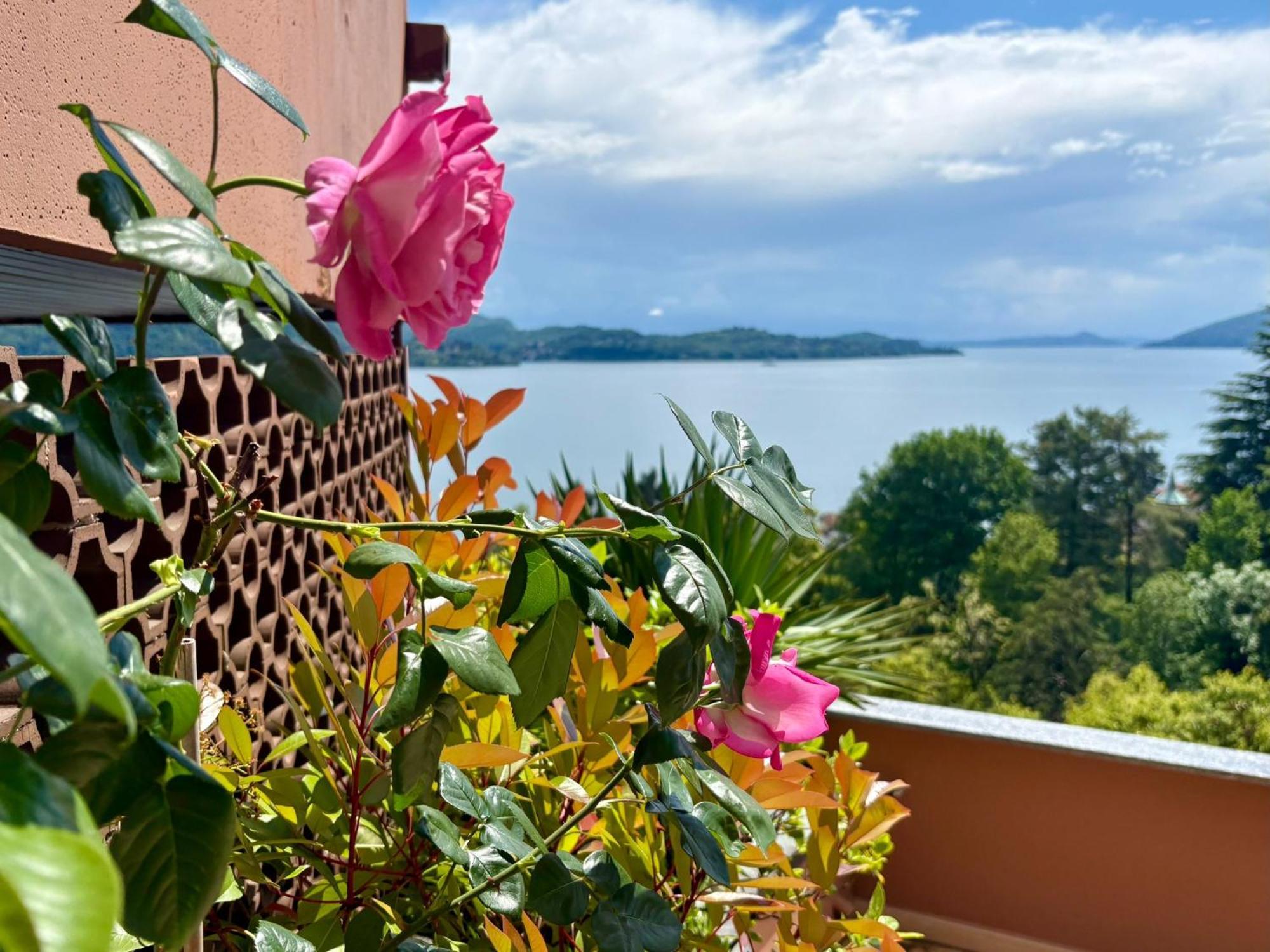 Bella Rosa Διαμέρισμα Ghiffa Εξωτερικό φωτογραφία